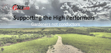 Supporting High Performance in Schools